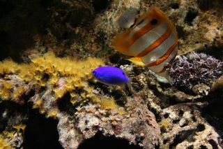 img_4116.jpg