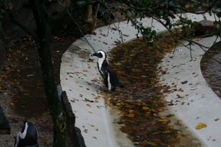 img_4226.jpg