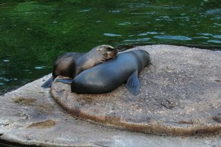 img_4232.jpg
