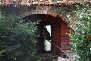 img_4262.jpg