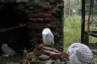 img_4271.jpg