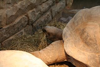 img_4346.jpg